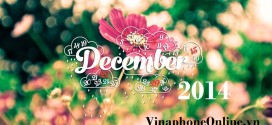 VinaphoneOnline.vn 12/2014