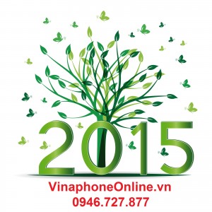 Vinaphone tra sau 2015